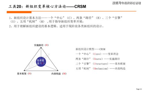 新组织设计工具大全 2021年