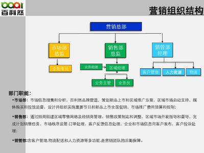 百利然新品上市规划方案(最终)PPT